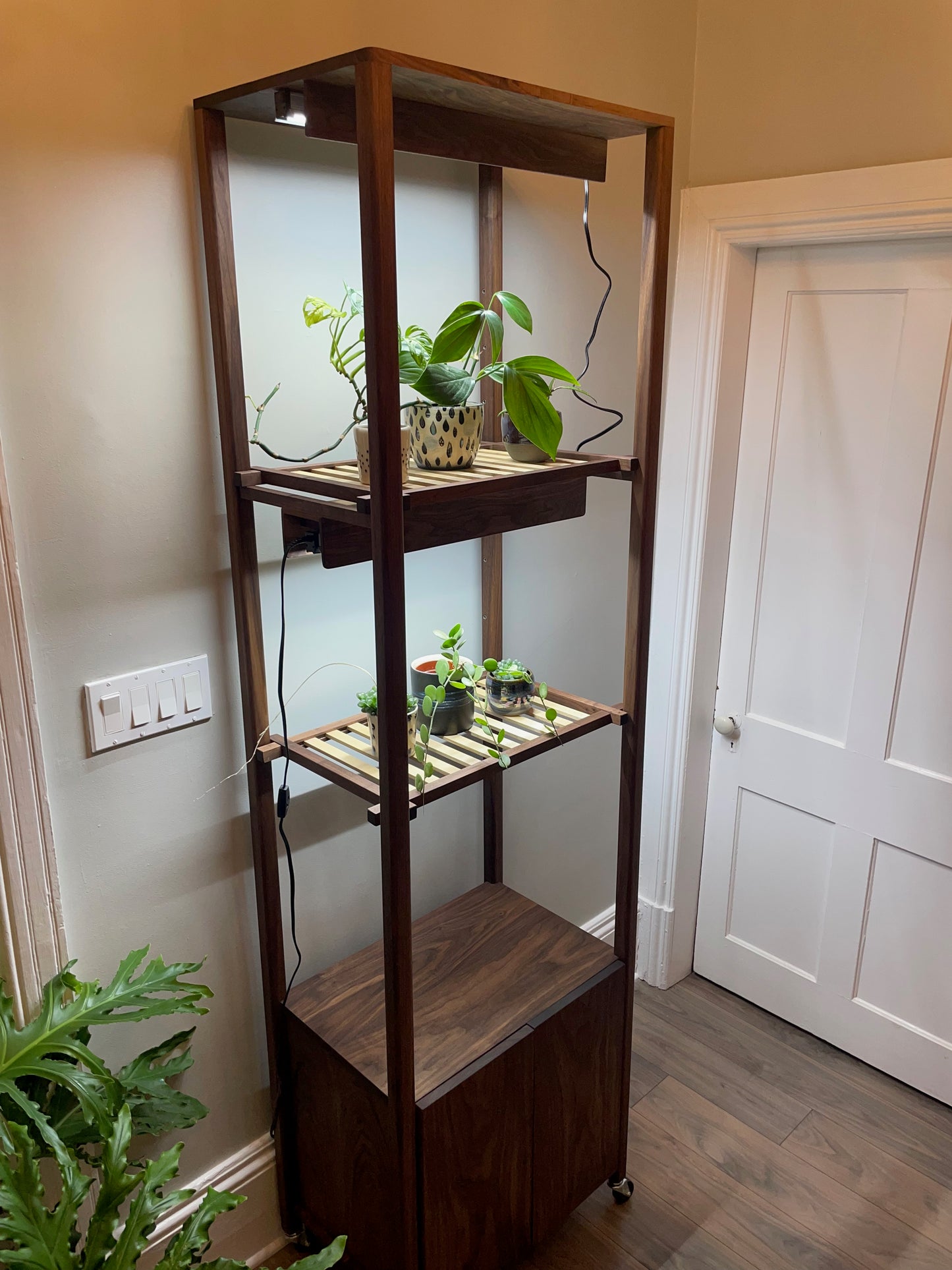 Handcrafted Custom Walnut Grow Shelves with Full Spectrum LED Grow Lights. Indoor Garden