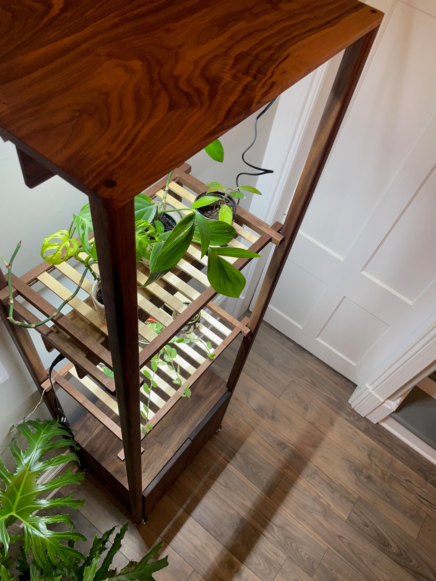 Handcrafted Custom Walnut Grow Shelves with Full Spectrum LED Grow Lights. Indoor Garden