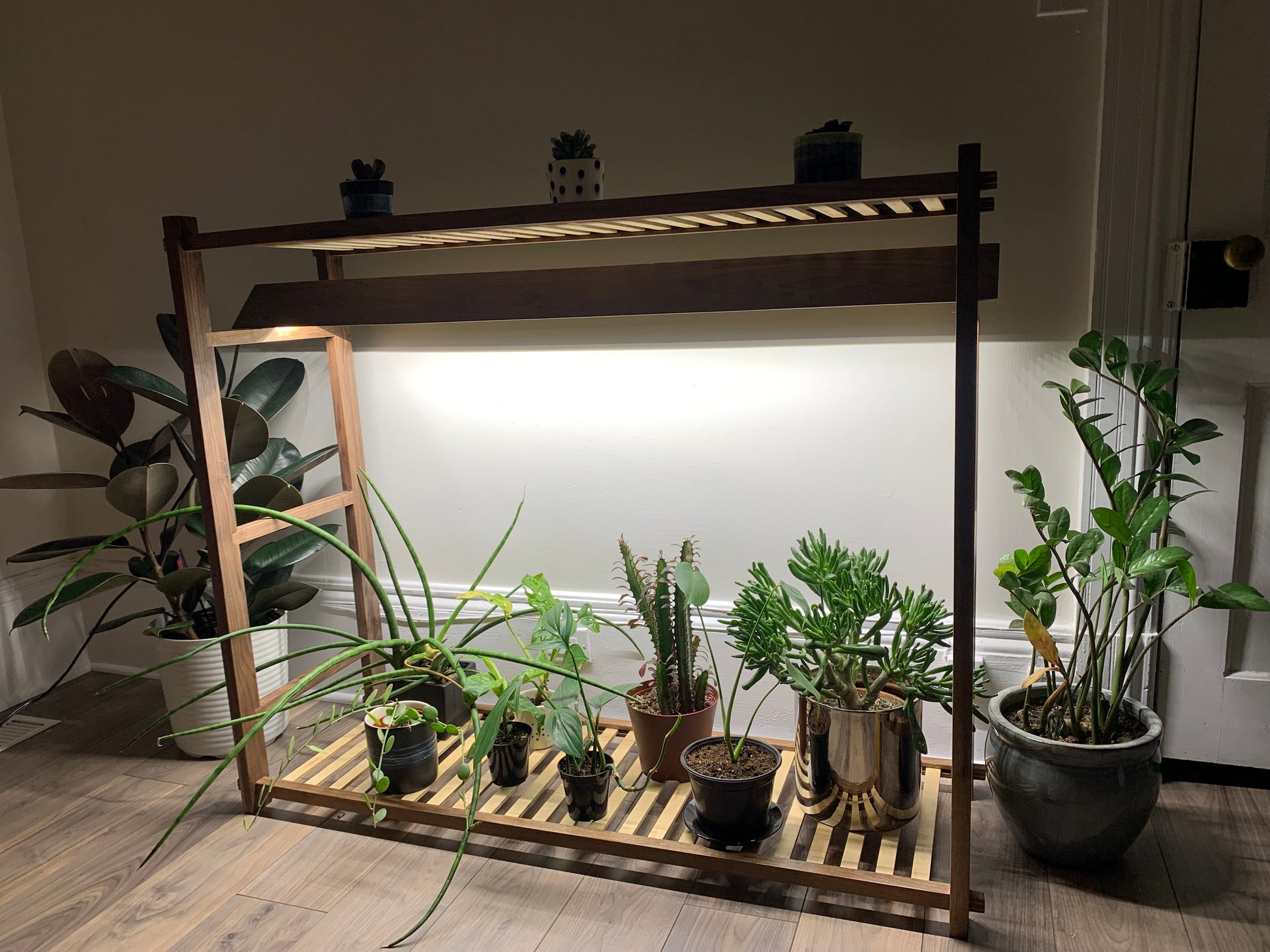 hid plant grow lights Handcrafted Walnut Grow Stand w 24" Full Spectrum LED Grow Lights. Home Garden. Sprouting